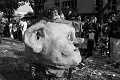 carnaval bagneux 3 * 3504 x 2336 * (2.53MB)